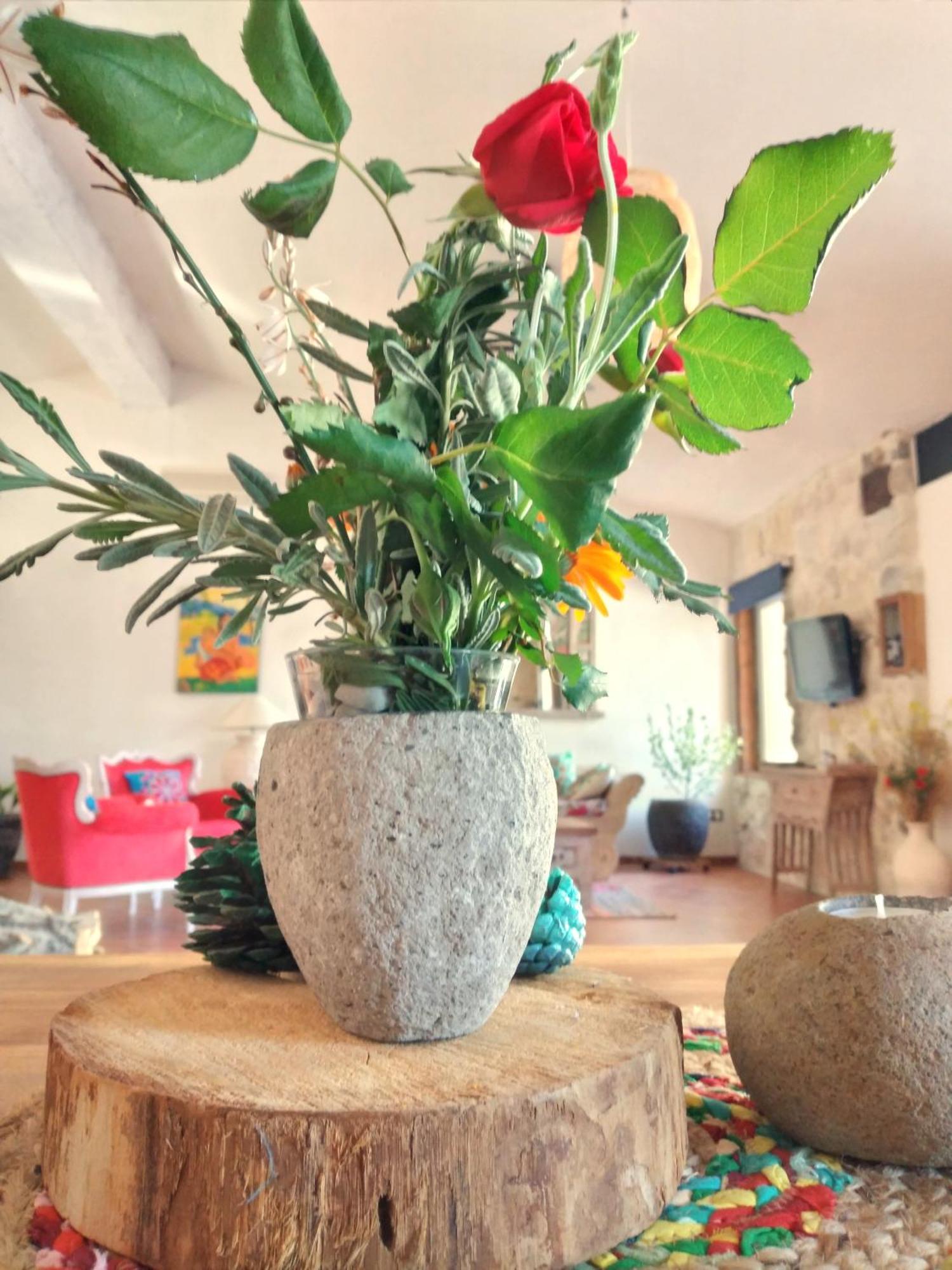 Loft Carriones Villa Castilléjar Buitenkant foto